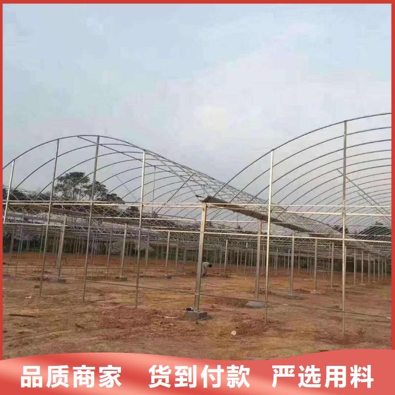 大棚管,农业养殖大棚管多种优势放心选择就近发货