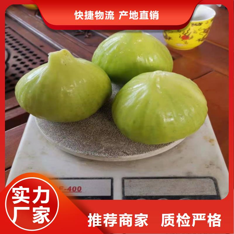 无花果,【猕猴桃苗】当地厂家值得信赖质量检测