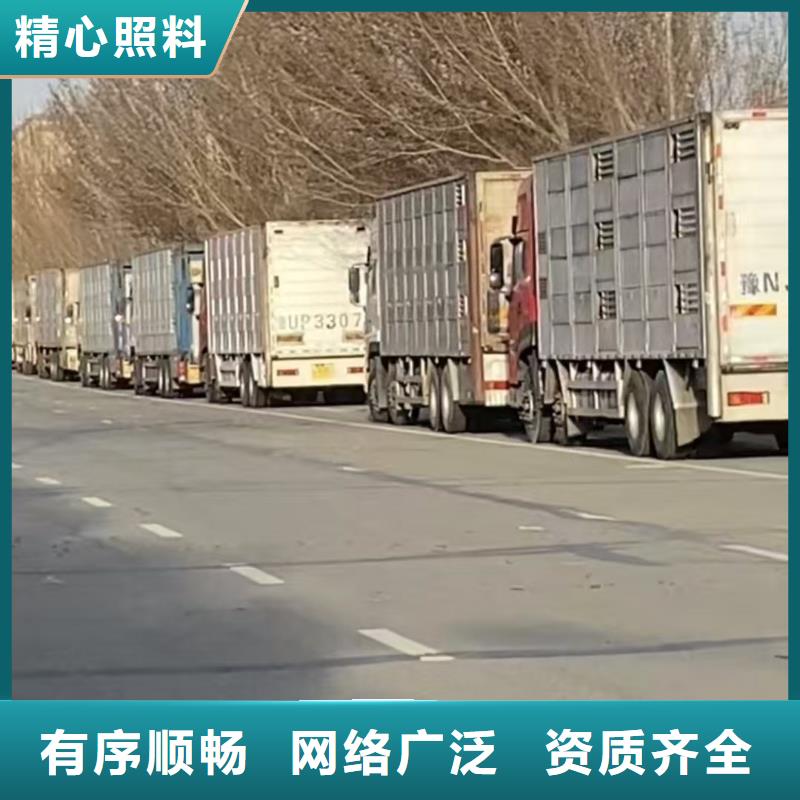 宿迁市到淄博仔猪运输有条不紊