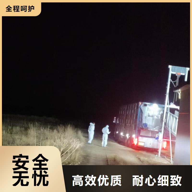 宿迁市沭阳到聊城羊运输专用车细致入微