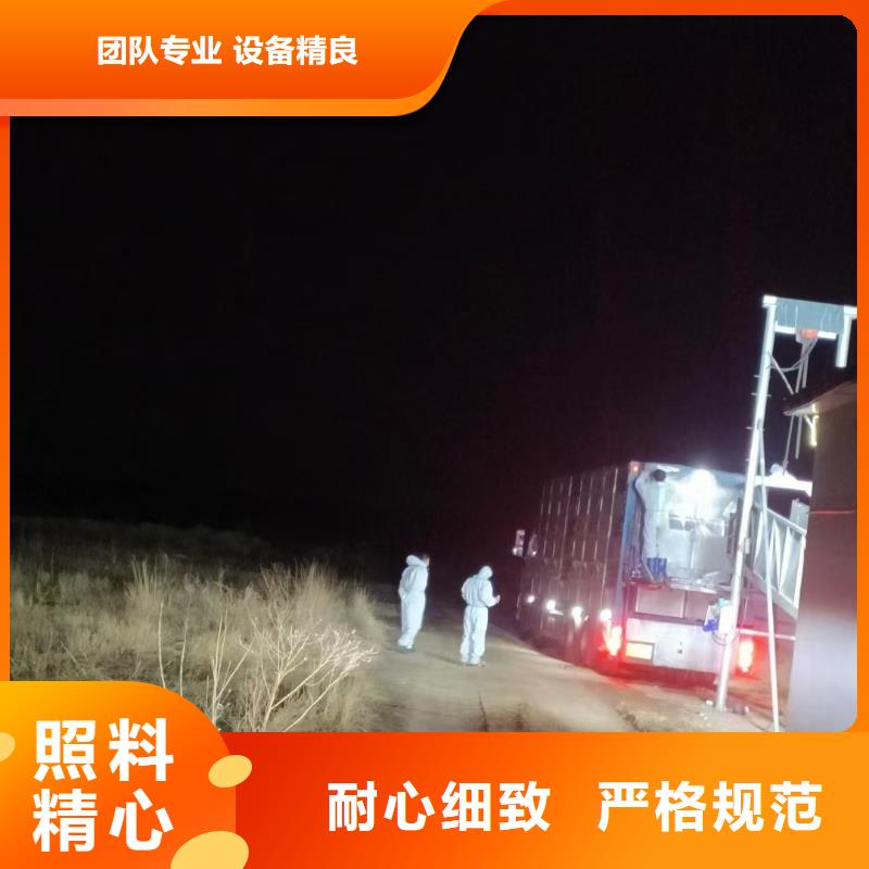 宿迁市泗洪到徐州猪运输科学运输
