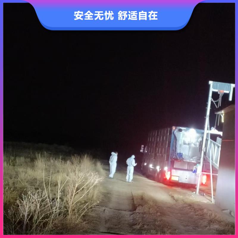 宿迁市泗洪到镇江生猪运输细致入微