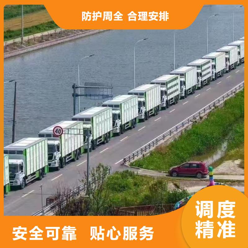宿迁市泗洪到马鞍山生猪运输调度精准