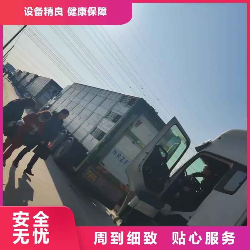 宿迁市到濮阳生猪物流按时到达