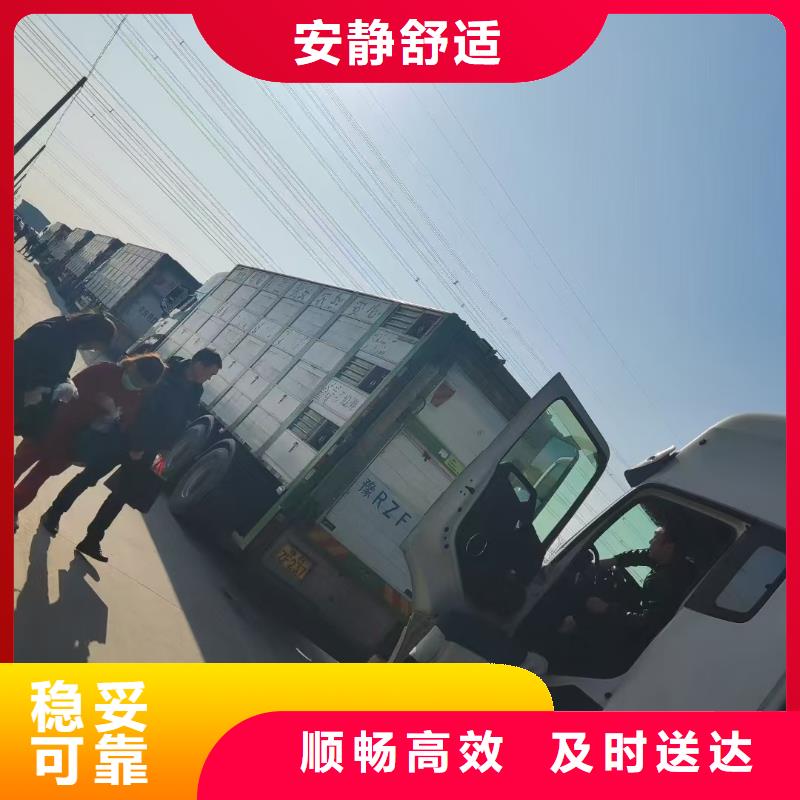 宿迁到阳谷高栏车肥猪运输规模宏大