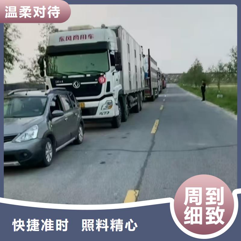 宿迁市泗洪到枣庄种猪恒温车运输快捷准时