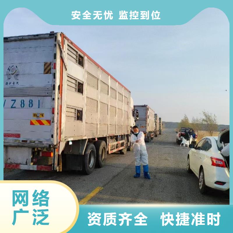 宿迁市泗洪到焦作农牧运输车型丰富