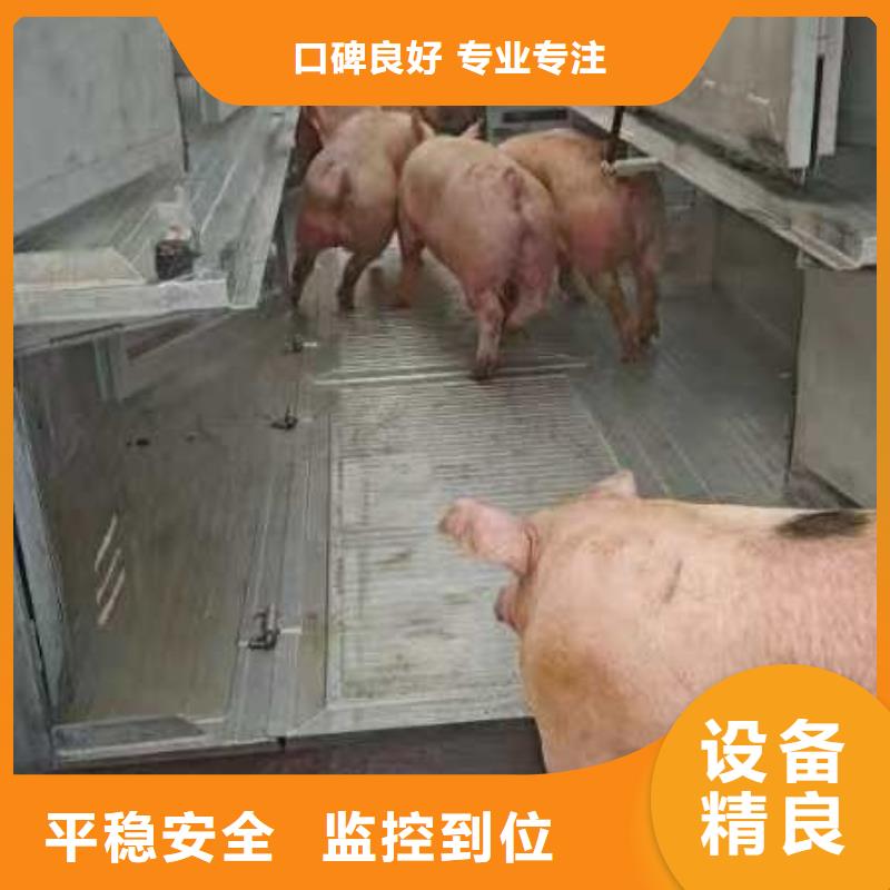 宿迁市泗洪到枣庄牛运输天天发车