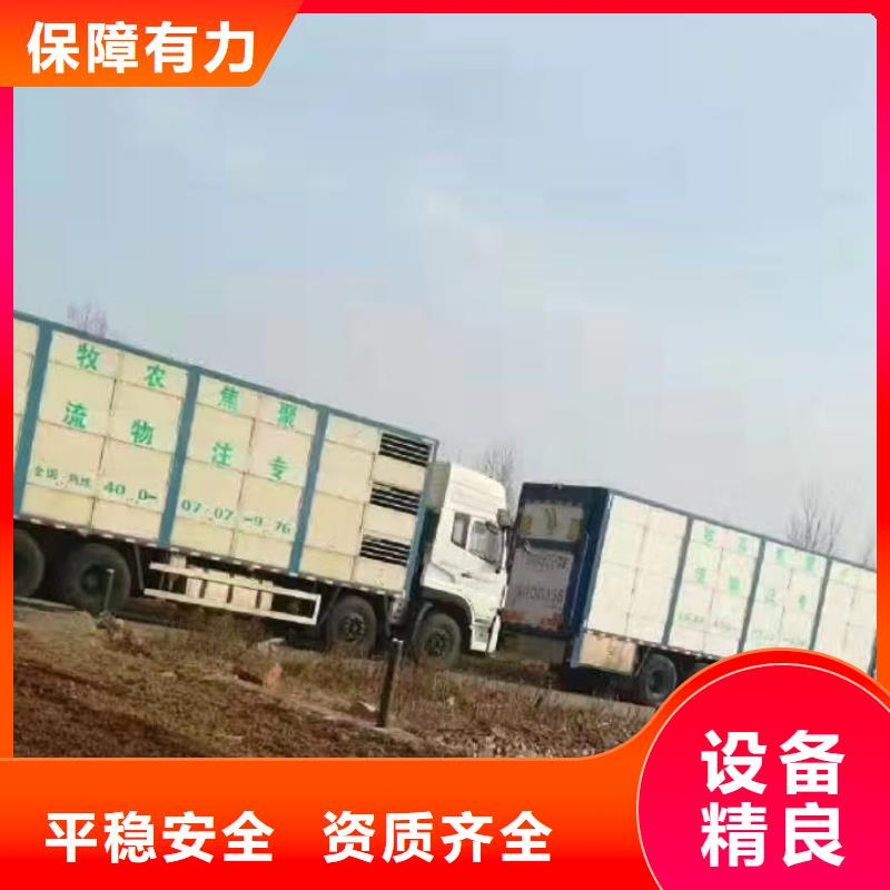 宿迁市泗洪到焦作活禽物流保障