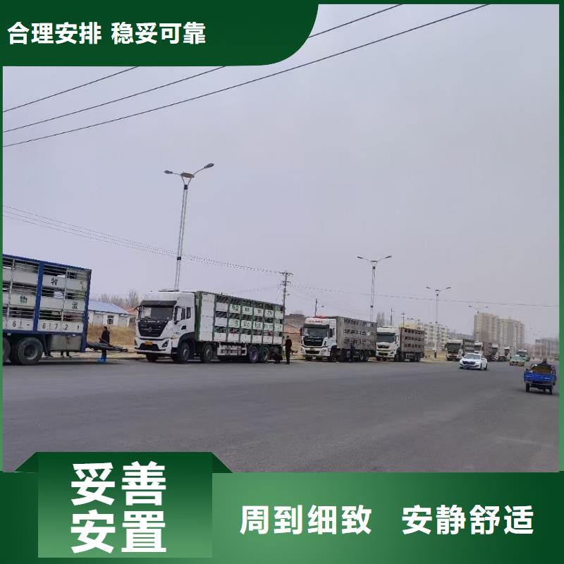宿迁到阳谷空调车运输快速直达