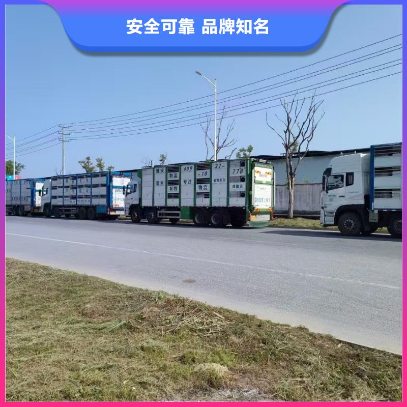 宿迁沭阳到聊城牲畜运输
