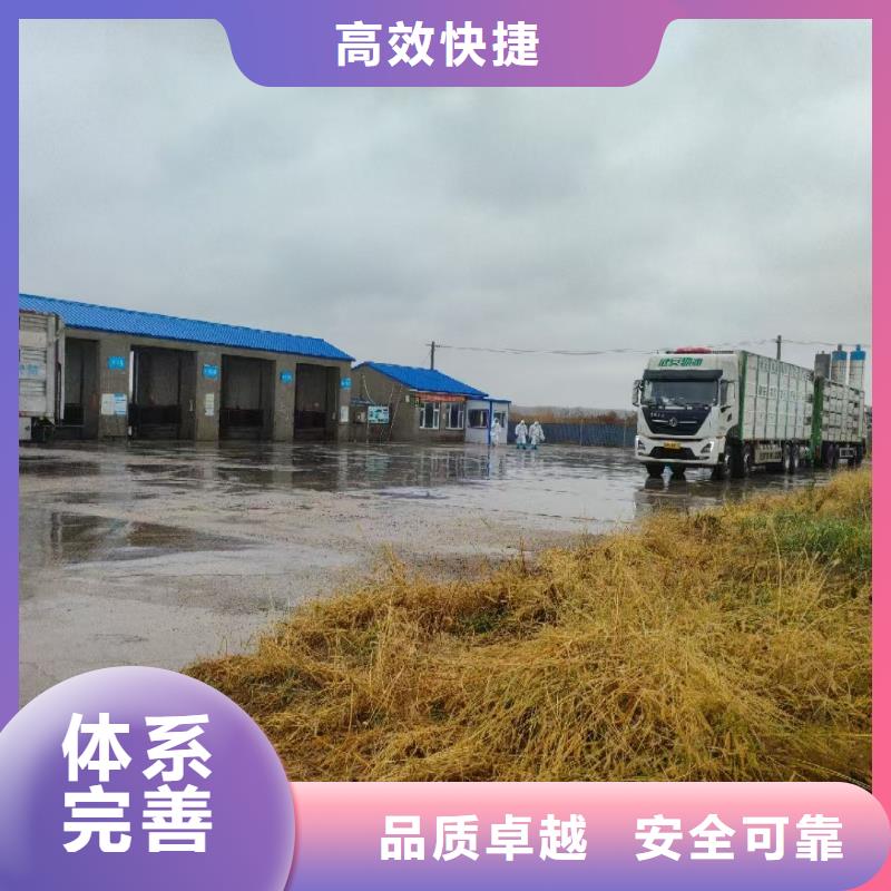 宿迁泗阳到温州原料运输