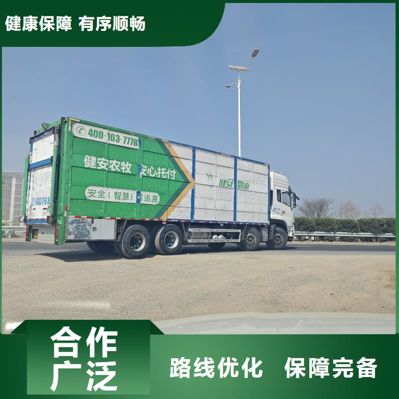 宿迁市到青岛种猪恒温车运输快速