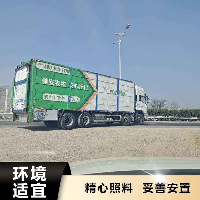 宿迁市到菏泽生猪物流实力雄厚