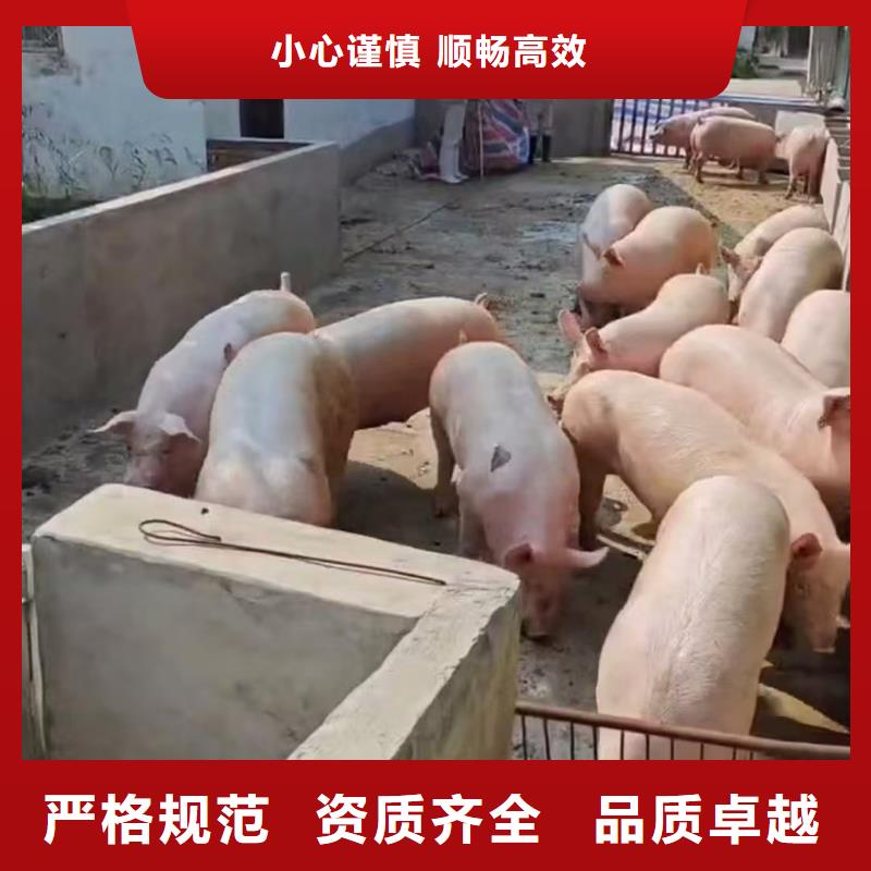 宿迁到铜陵原料运输