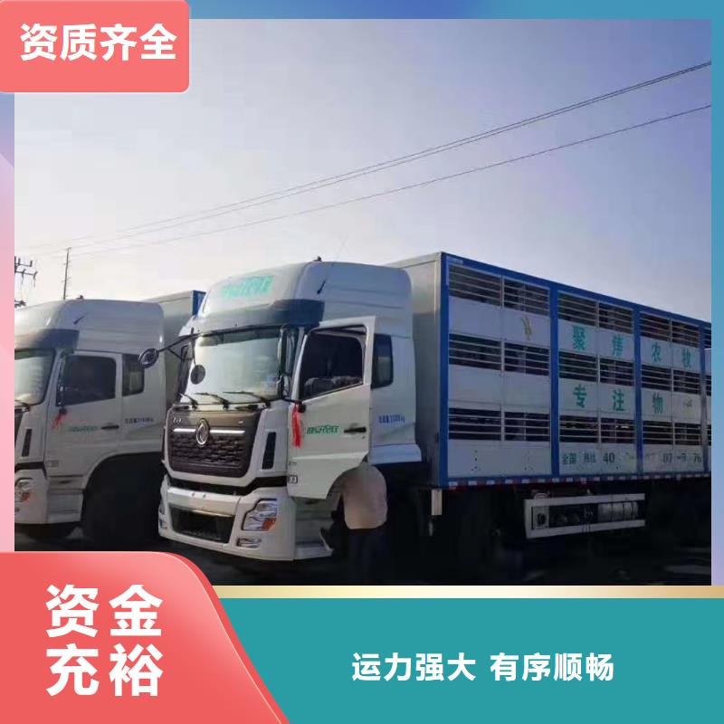 宿迁市泗阳到威海猪只贸易舒适自在