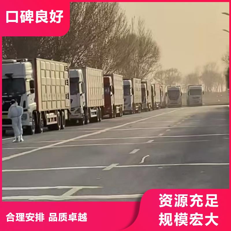 宿迁到聊城种猪运输运力强大