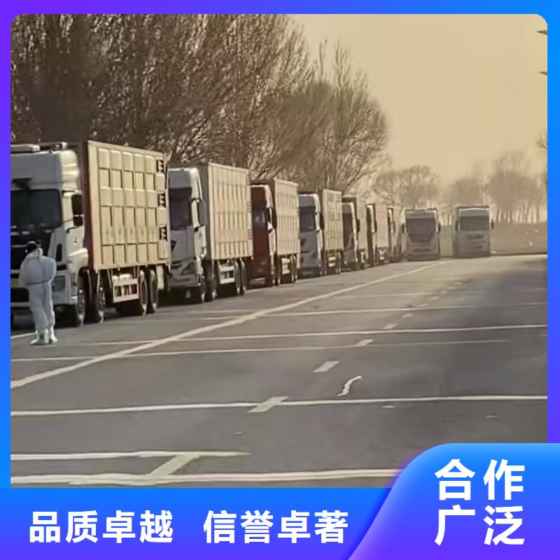 宿迁市到六安仔猪运输车型丰富
