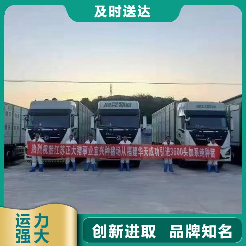 宿迁市泗洪到黄山牲畜运输合作广泛