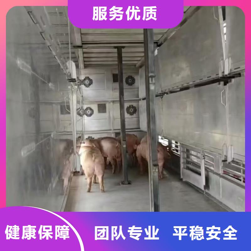 宿迁市泗洪到镇江空调车运输精心照料