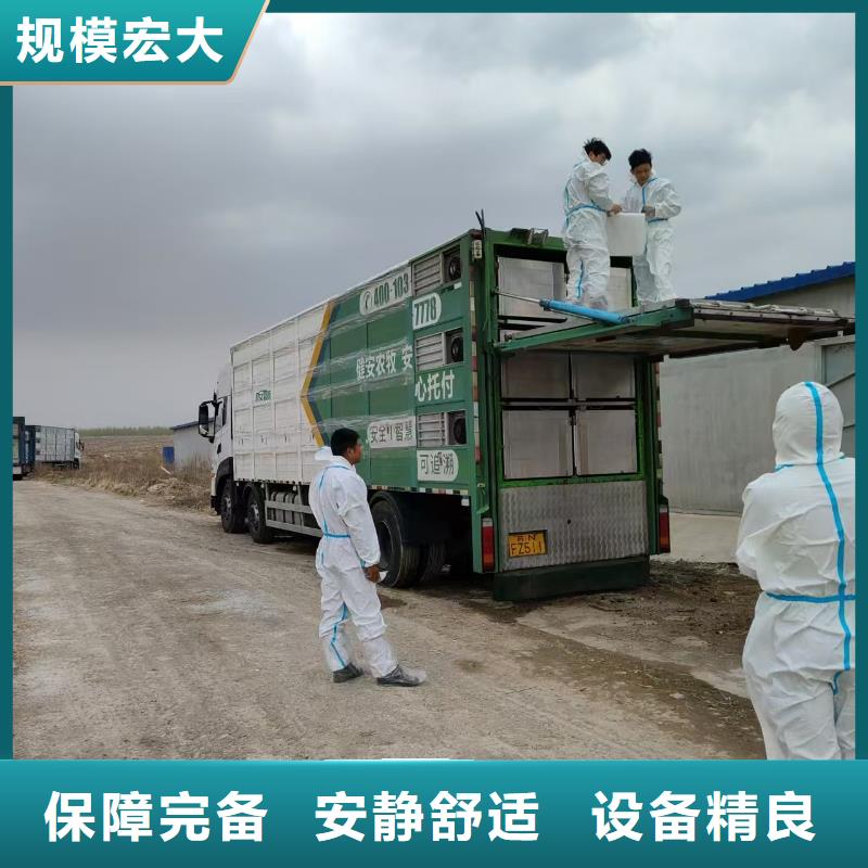 宿迁市到铜陵仔猪恒温车运输有条不紊