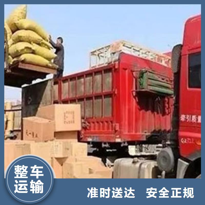 乐从到周口物流专线方便快捷