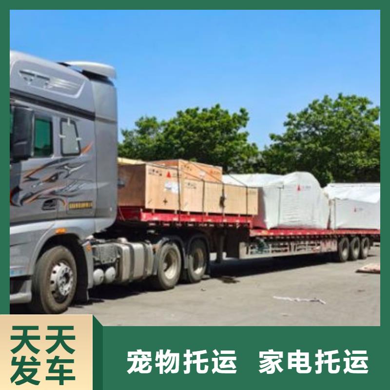 龙江到信阳物流公司直达2023