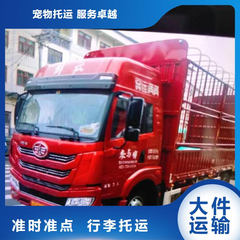海南到重庆返空车运输公司2024更新(官网/动态)