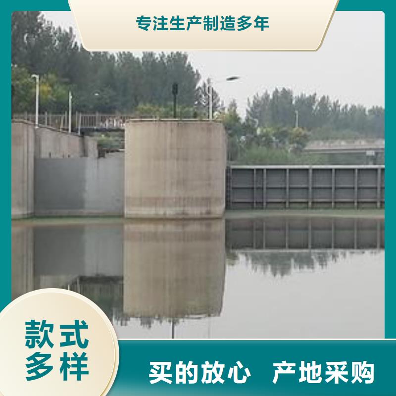 翻板闸门铸铁闸门诚信经营当地服务商