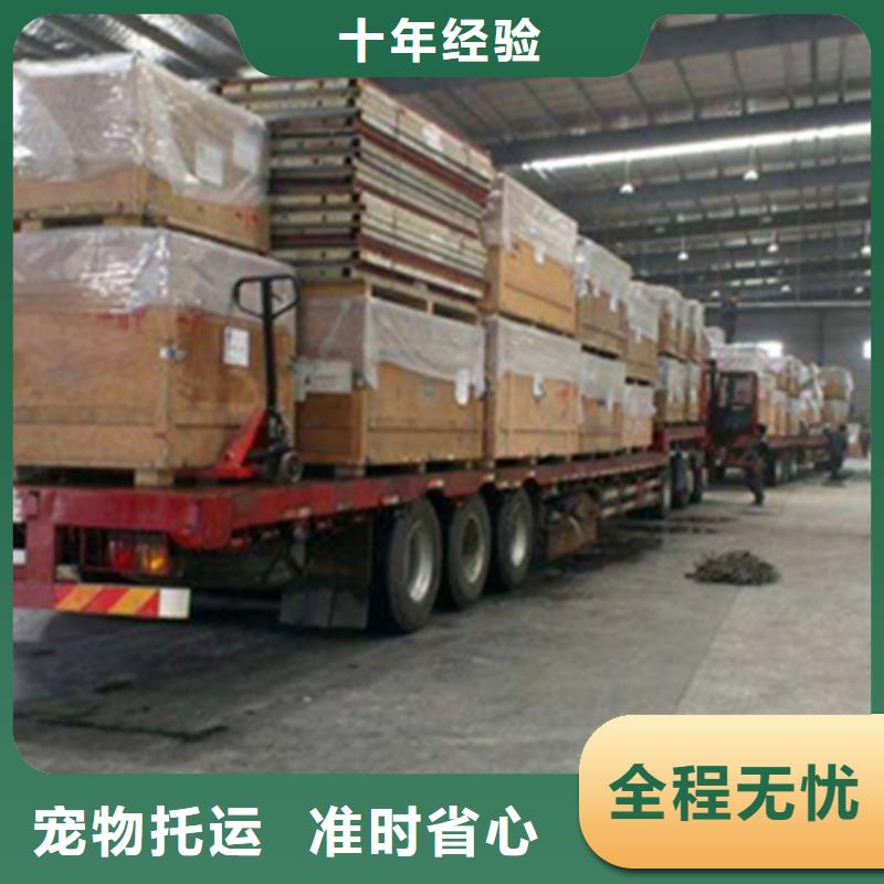 嘉善到马村区物流拼货免费咨询