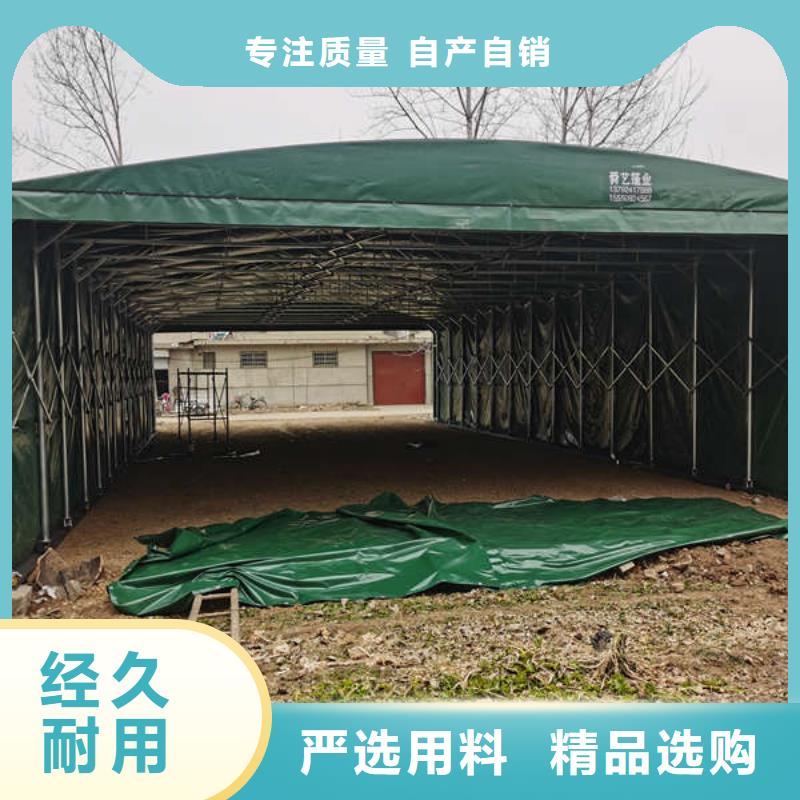 户外帐篷来图定制货源直销