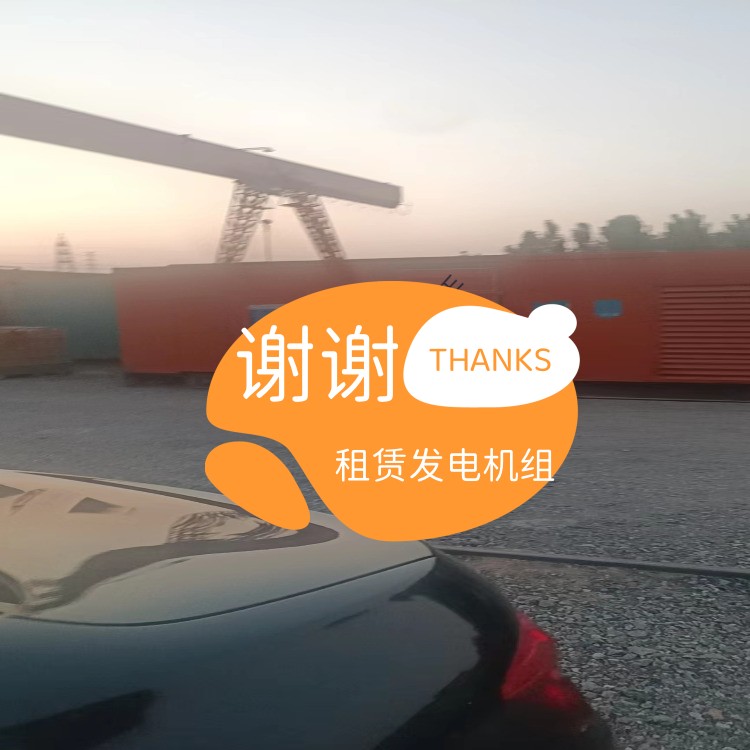 丰润租赁发电机800KW省油耐用先进的技术