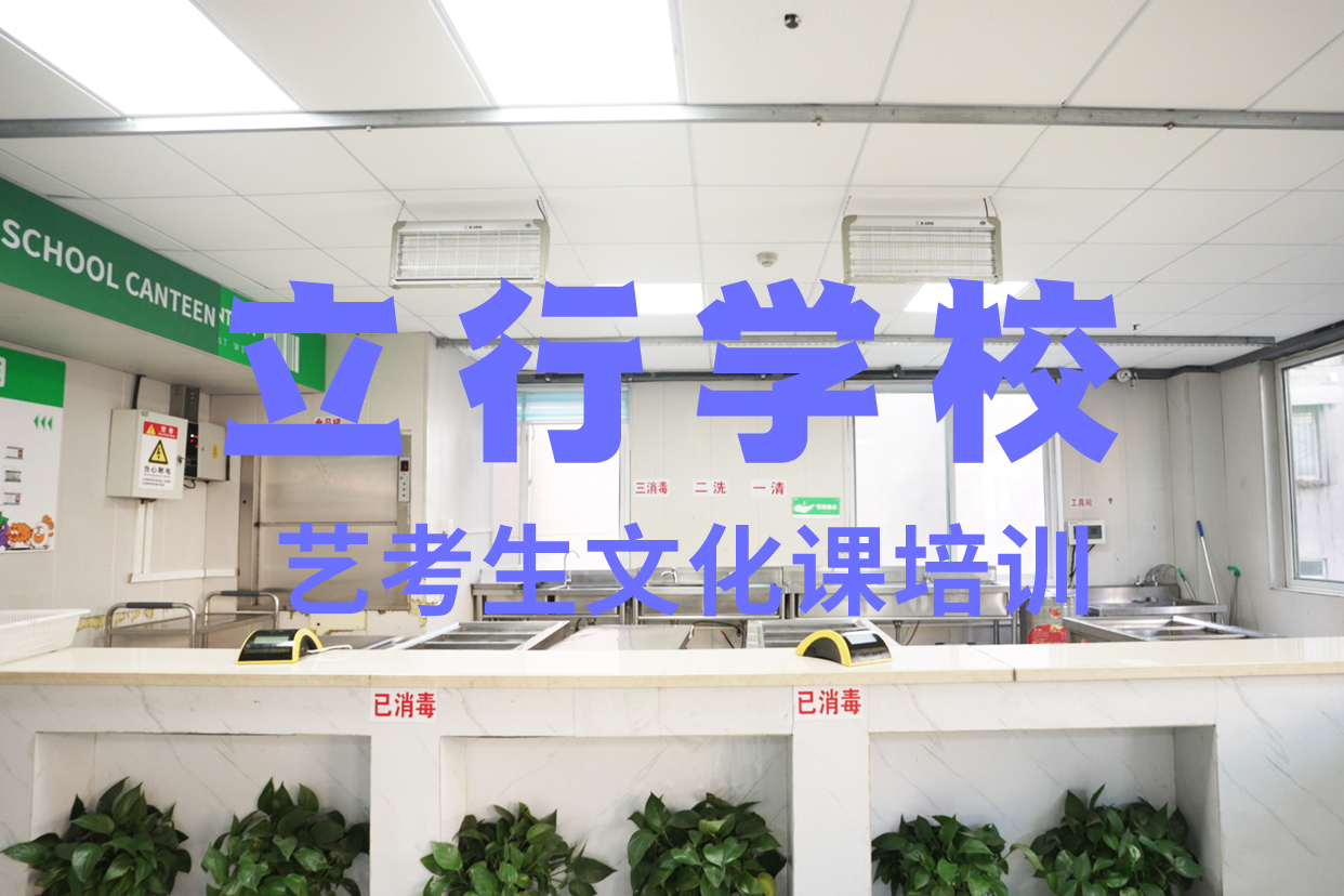 艺考文化课辅导班艺考生面试辅导学真本领