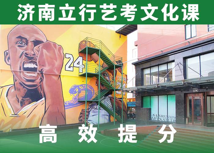 艺考文化课编导文化课培训手把手教学